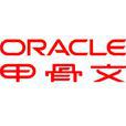 甲骨文公司(Oracle)