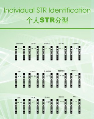 DNA亲子鉴定分型 DNA亲子鉴定分型