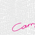 Carry me(萧亚轩潮牌)