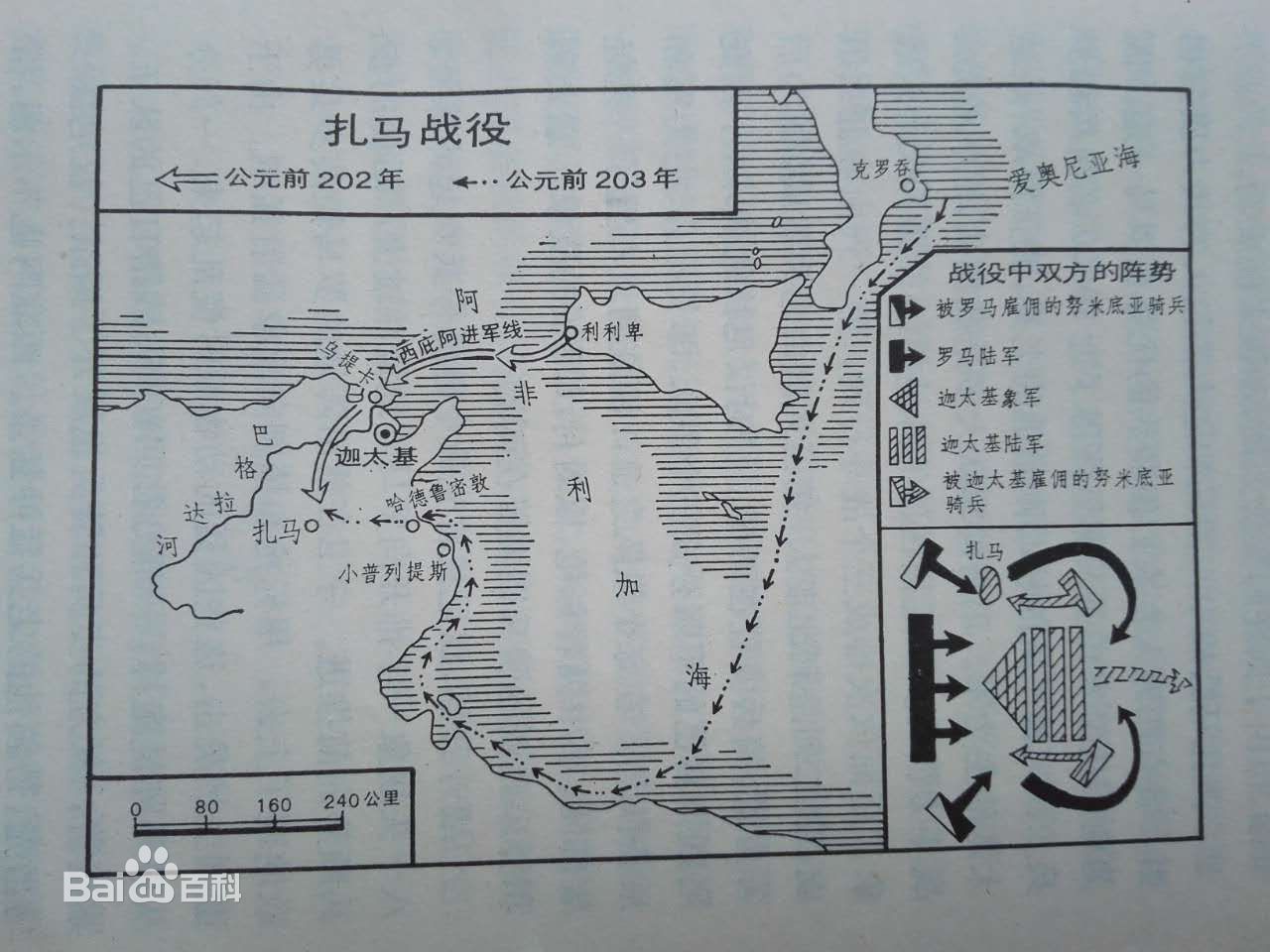 扎马战役 扎马战役