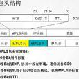 多协定标籤交换(MPLS)