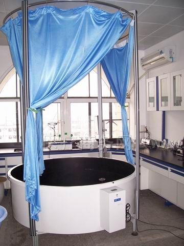 东南大学在使用的移数水迷宫 东南大学在使用的移数水迷宫