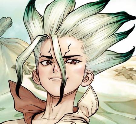 Dr. Stone