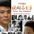 说好不分手(2011年顾晶执导电视剧)