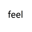 feel(英文单词)