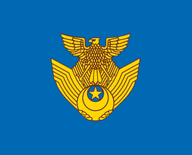 航空自卫队 航空自卫队