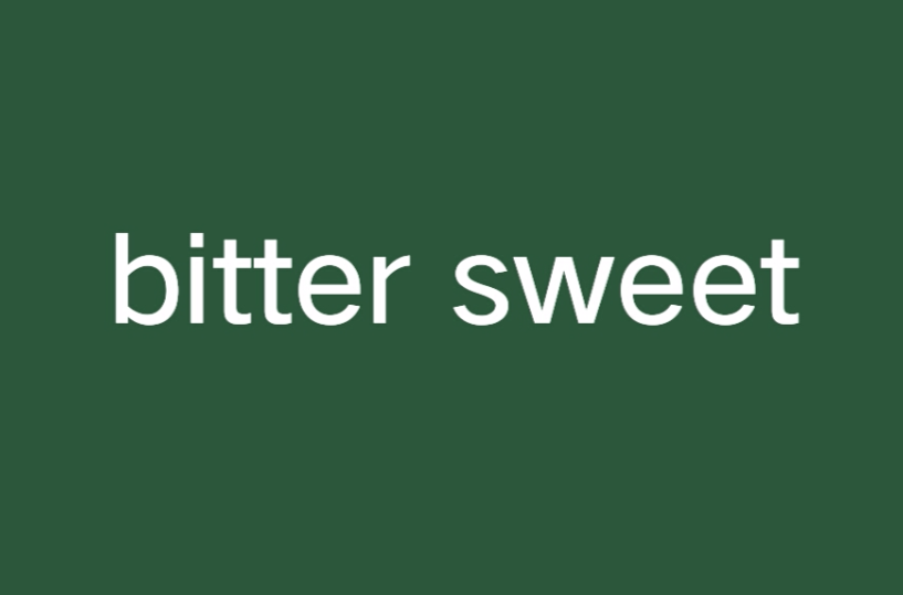 bitter sweet(小说)