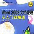 Excel2003公司办公从入门到精通