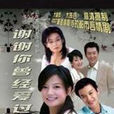 谢谢你曾经爱过我(王蕙玲创作言情小说)