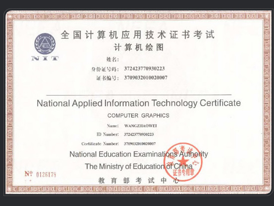 nit(全国计算机套用技术证书考试)
