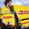DHL小包