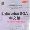 ENTERPRISE SOA中文版--面向服务架构的最佳实战