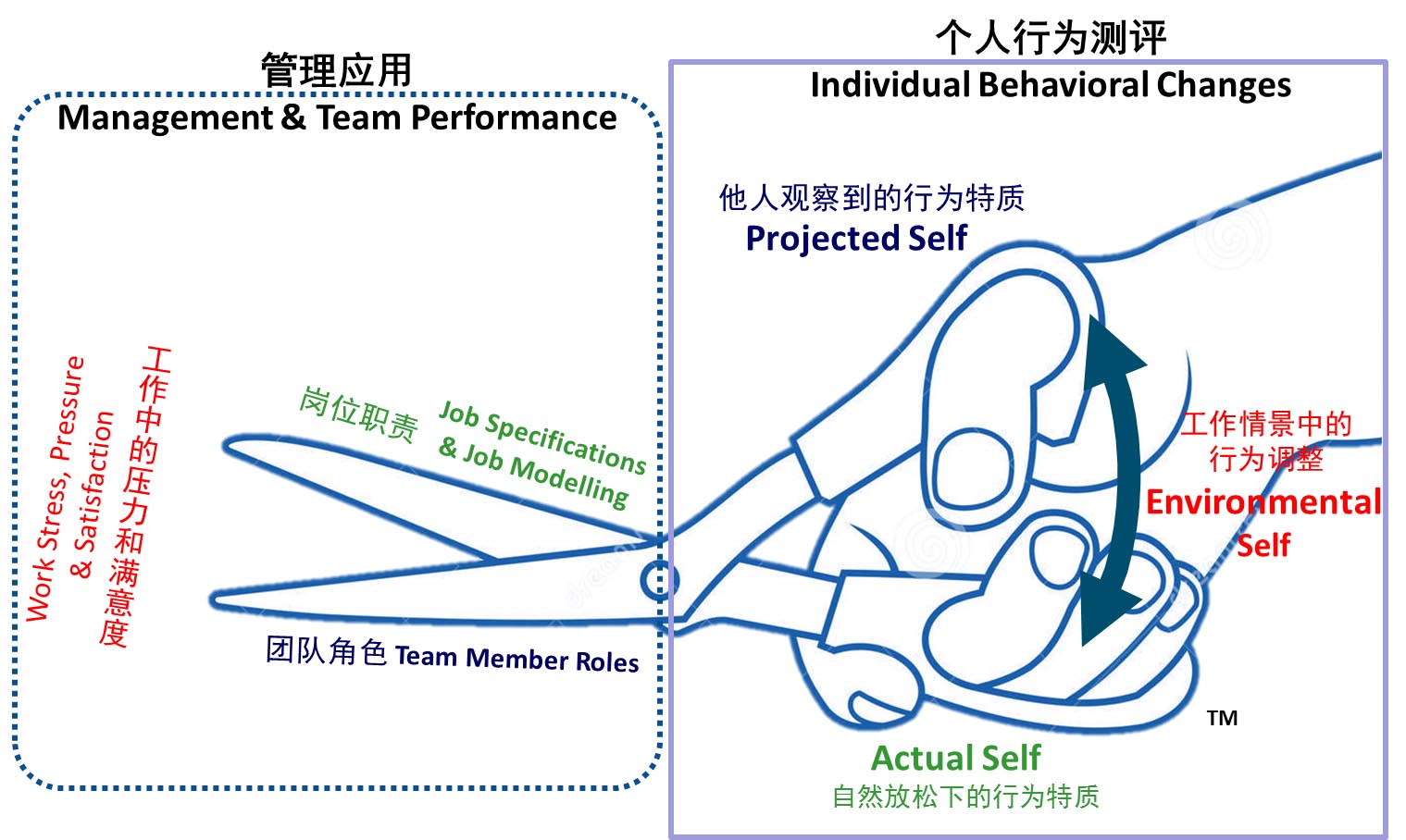 DISC 测评技术