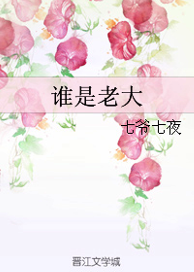 谁是老大(小说)