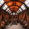 museum