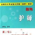 护师（全国卫生专业技术资格职称考试指南）
