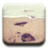 footprint