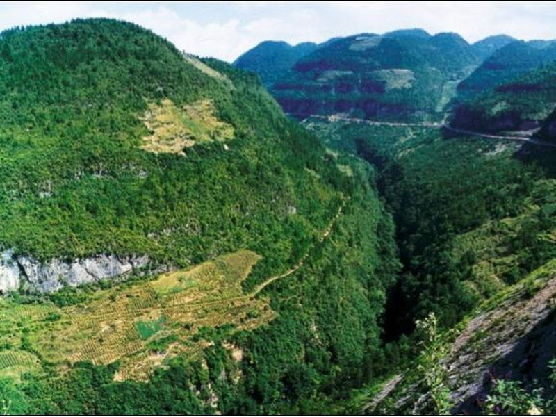 诗城(重庆奉节的美誉) 诗城(重庆奉节的美誉)