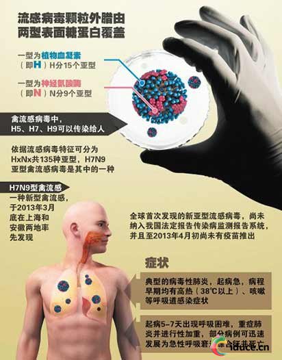 H7N9禽流感 H7N9禽流感