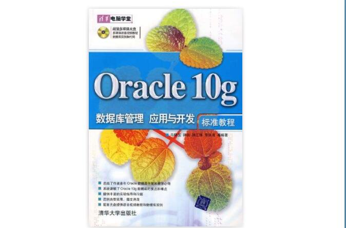Oracle 10g资料库管理、套用与开发标準教程