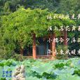 咏诗