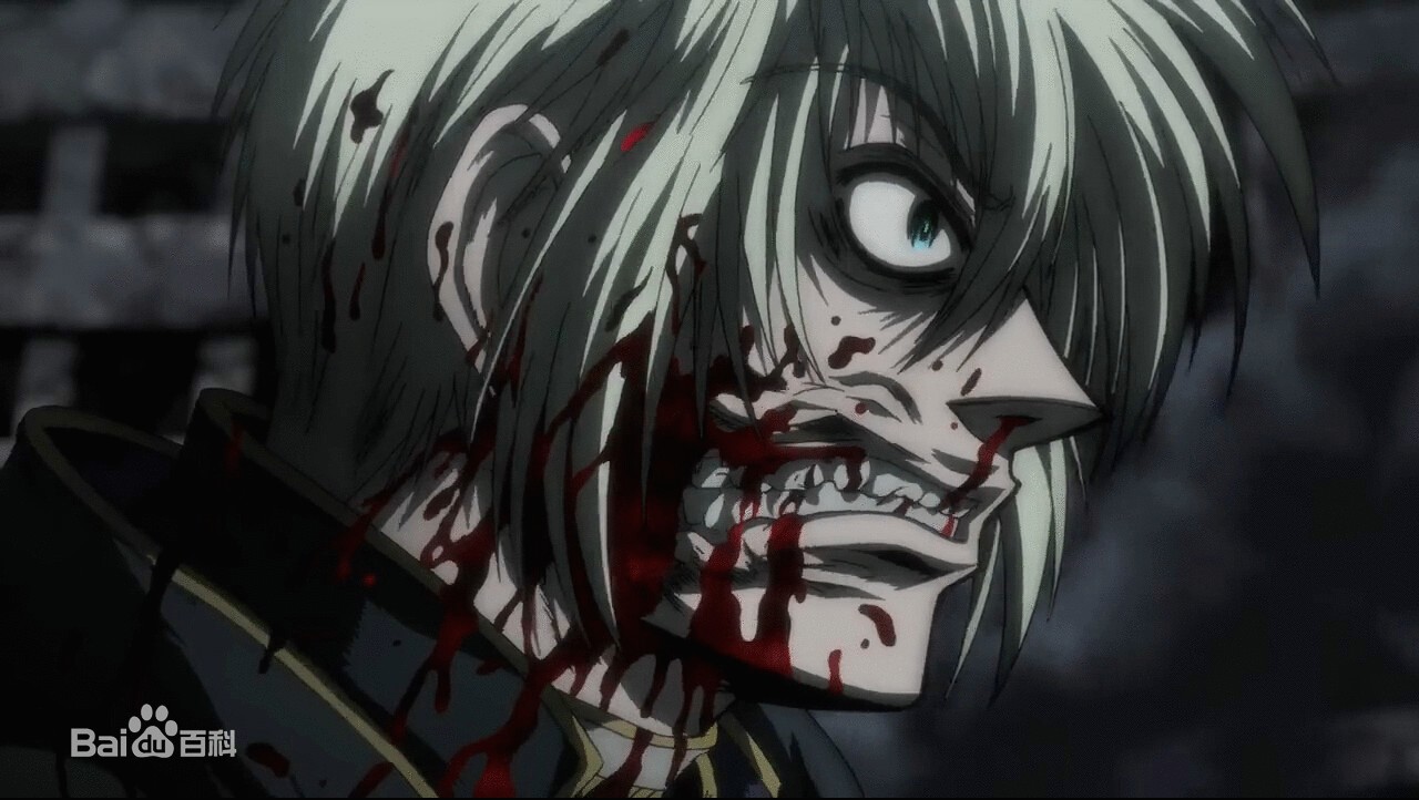 皇家国教骑士团(Hellsing)