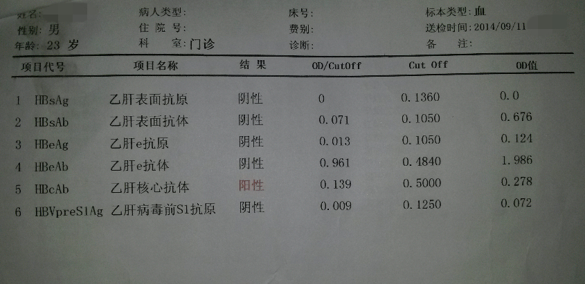 B肝六项