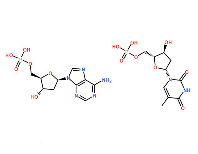 Oligo(dT)
