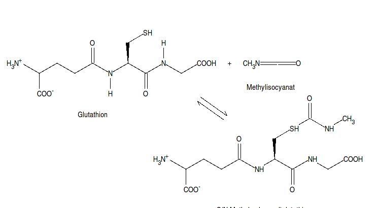 MIC(异氰酸甲酯(MethylIsocyanate))