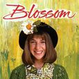 blossom(NBC电视台情景喜剧)