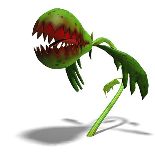 Larva
