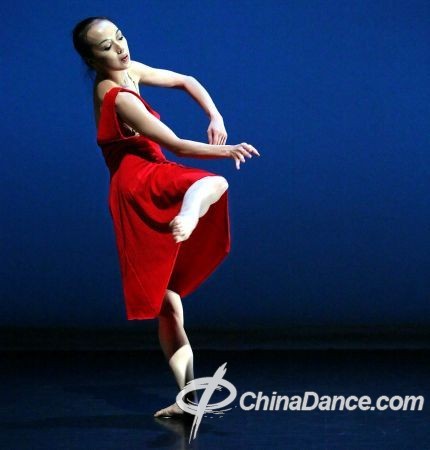 许芳宜