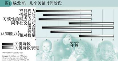 婴幼儿时期的大脑发育关键阶段