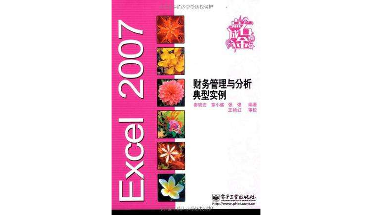 Excel 2007财务管理与分析典型实例