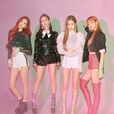 BLACKPINK(韩国女子演唱组合)
