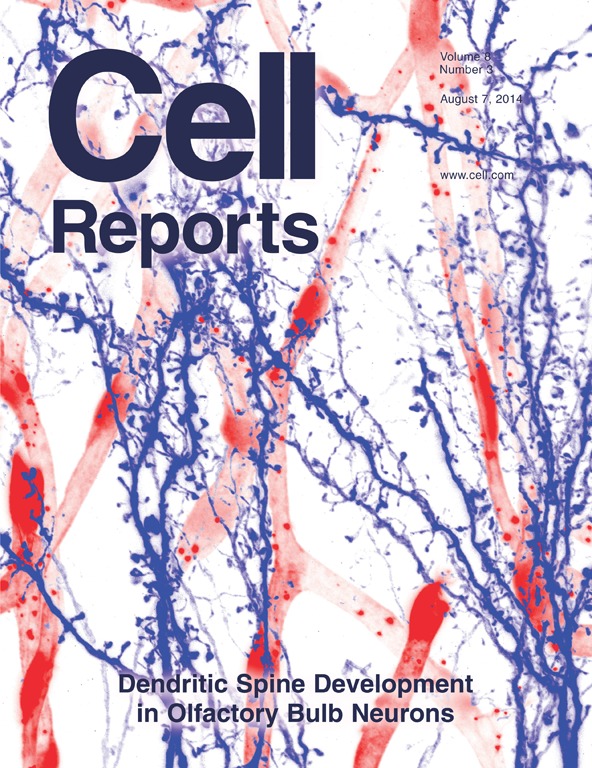 CELL(《细胞》期刊)