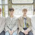 N.Flying
