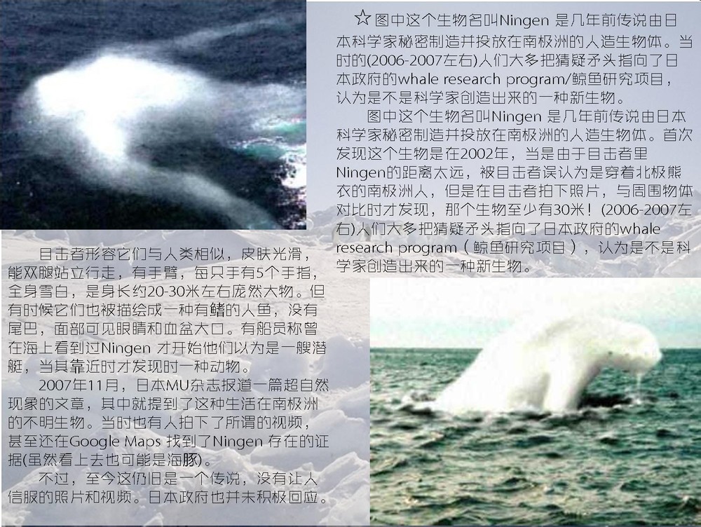 Ningen Ningen